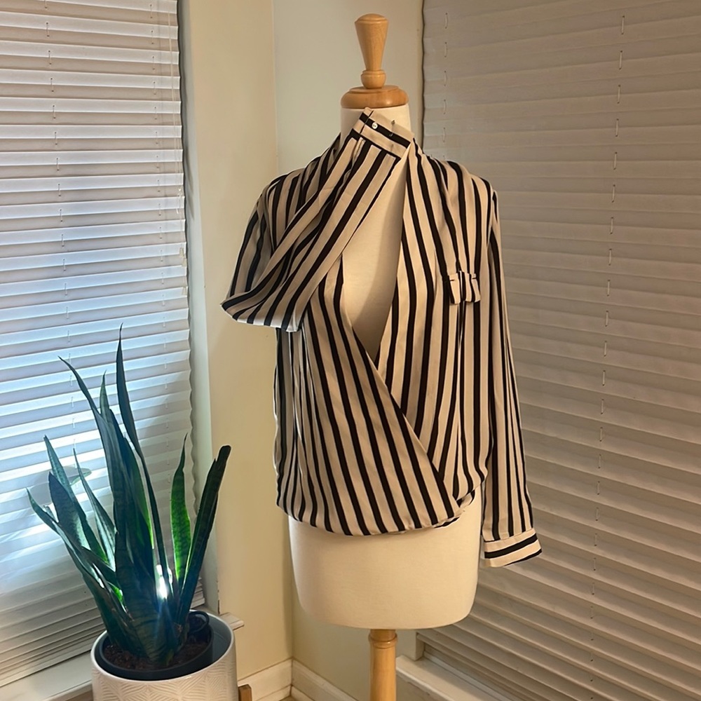 Beautiful work into evening blouse.